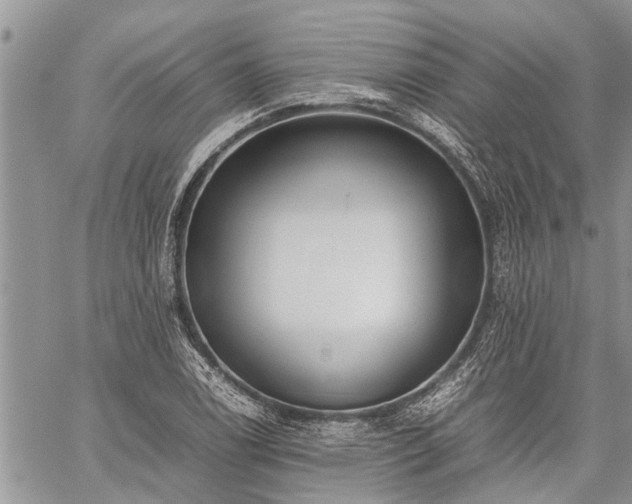 X0000059801122200510211045