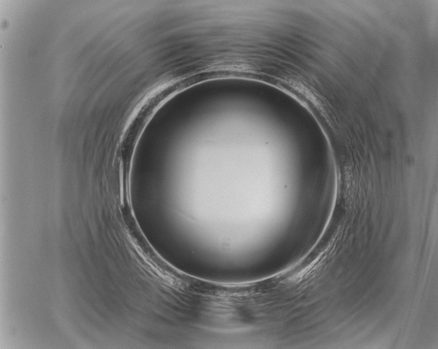 X0000059801123200510211045