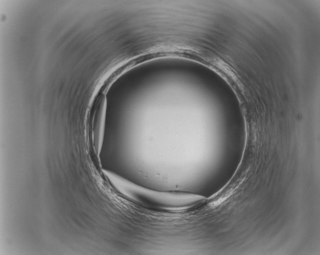 X0000059801124200510211045