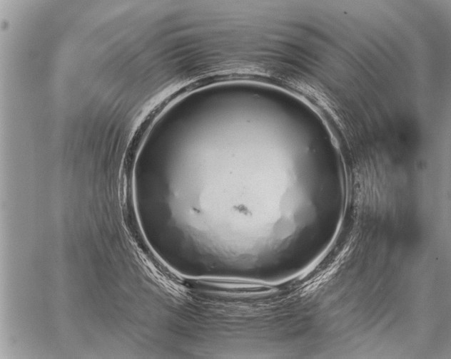 X0000059801125200510211045