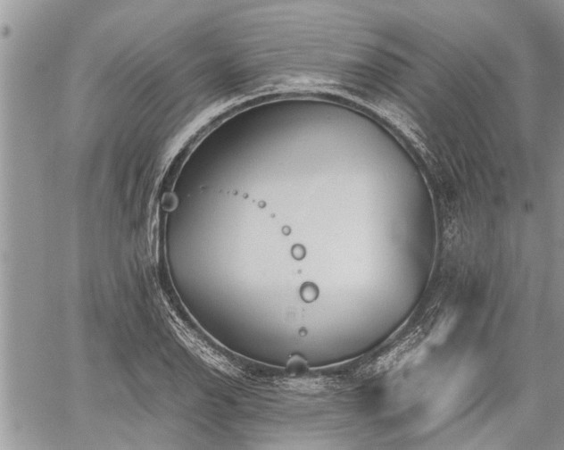 X0000059801126200510211045