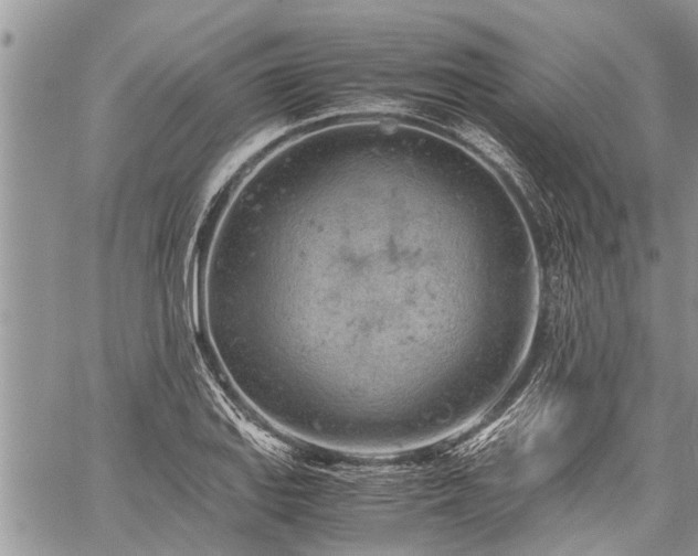 X0000059801127200510211045