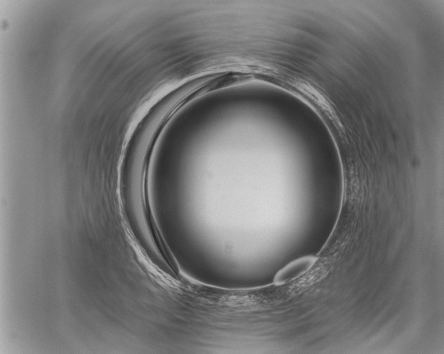 X0000059801128200510211045