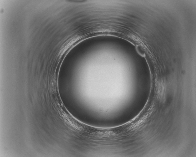 X0000059801129200510211045