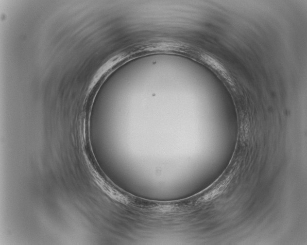 X0000059801130200510211045