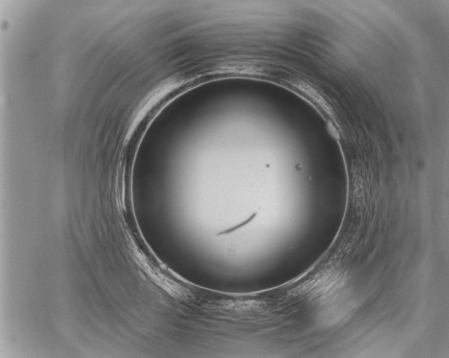 X0000059801131200510211045