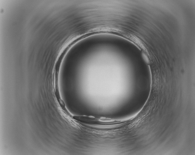 X0000059801132200510211045