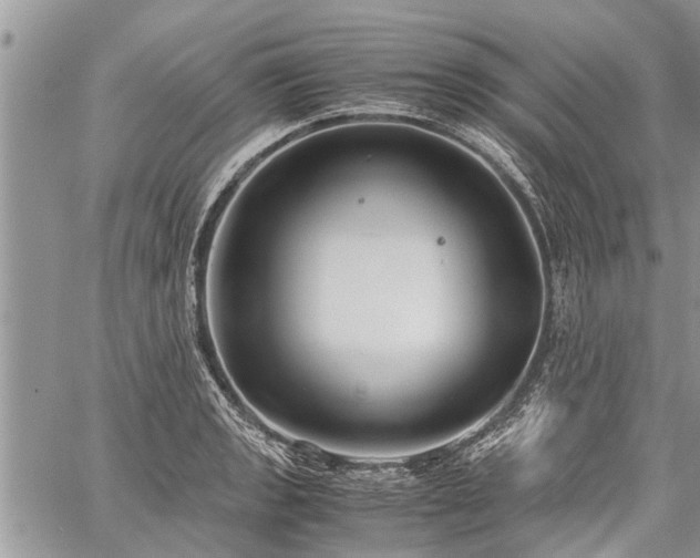 X0000059801133200510211045