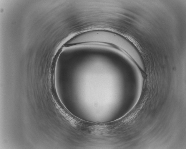 X0000059801134200510211045