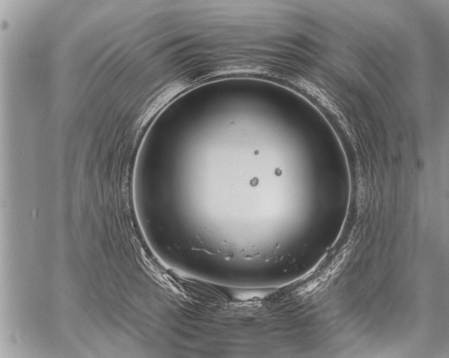 X0000059801137200510211045