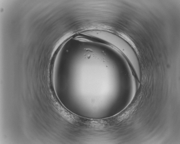 X0000059801138200510211045