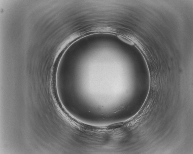 X0000059801139200510211045