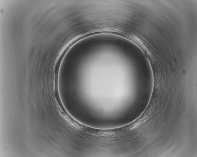 X0000059801140200510211045