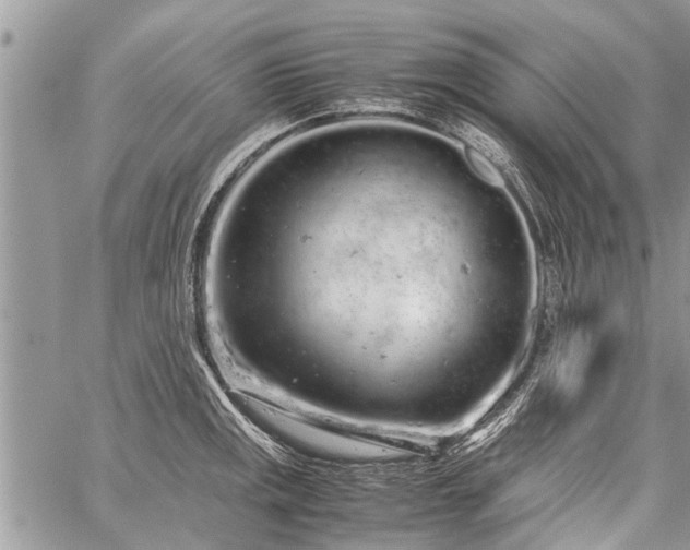 X0000059801141200510211045