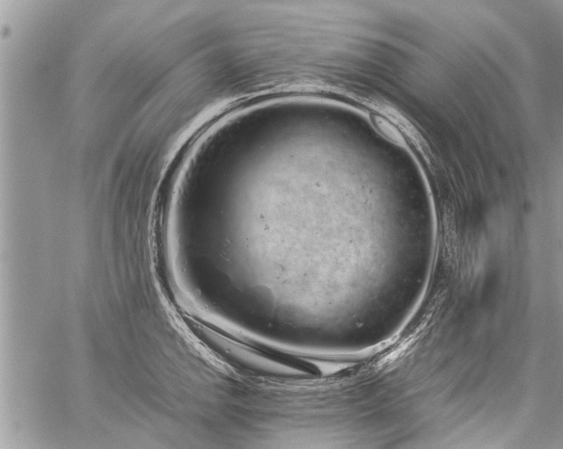 X0000059801142200510211045