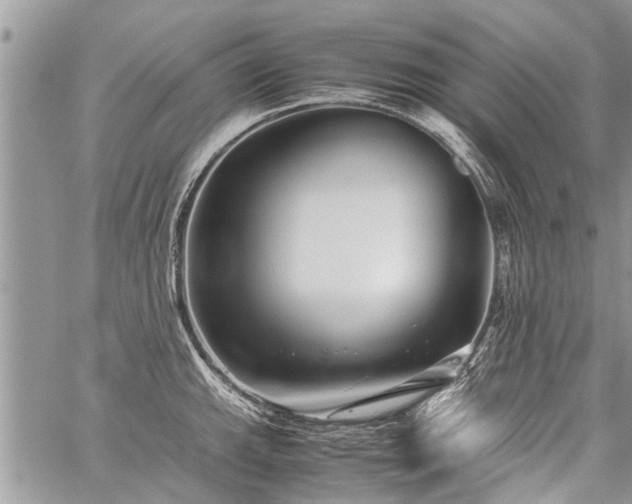 X0000059801143200510211045