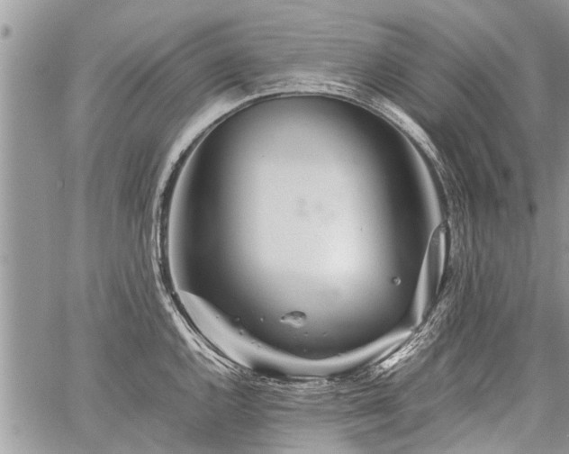 X0000059801144200510211045