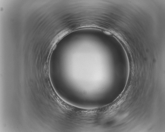 X0000059801145200510211045