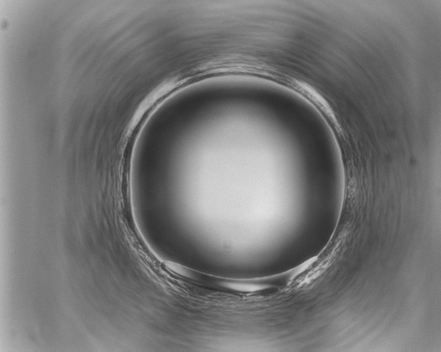 X0000059801146200510211045