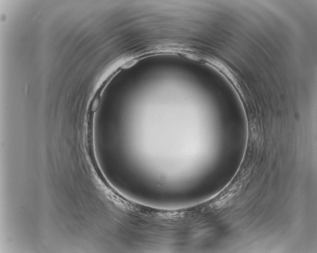 X0000059801147200510211045