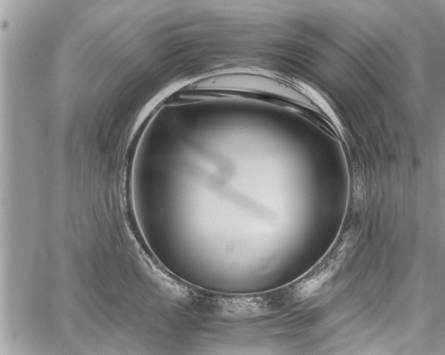 X0000059801149200510211045