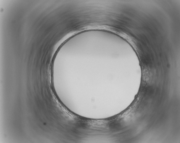 X0000059801150200510211045