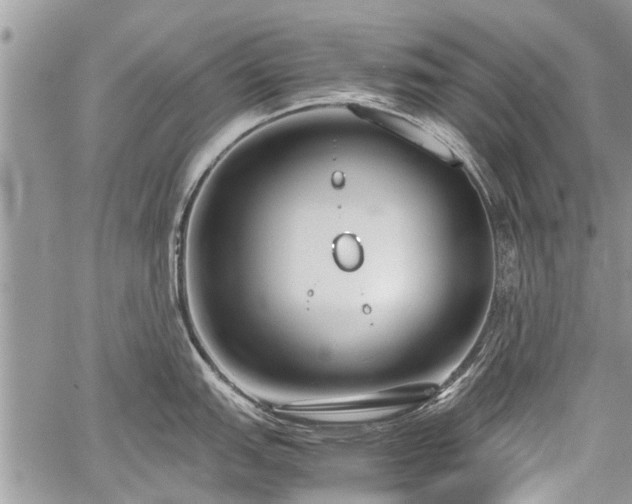 X0000059801151200510211045