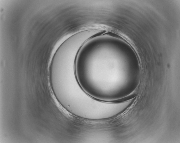 X0000059801152200510211045