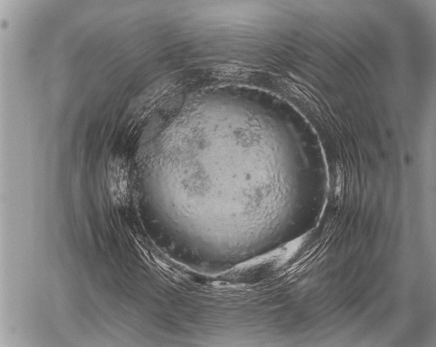 X0000059801154200510211044