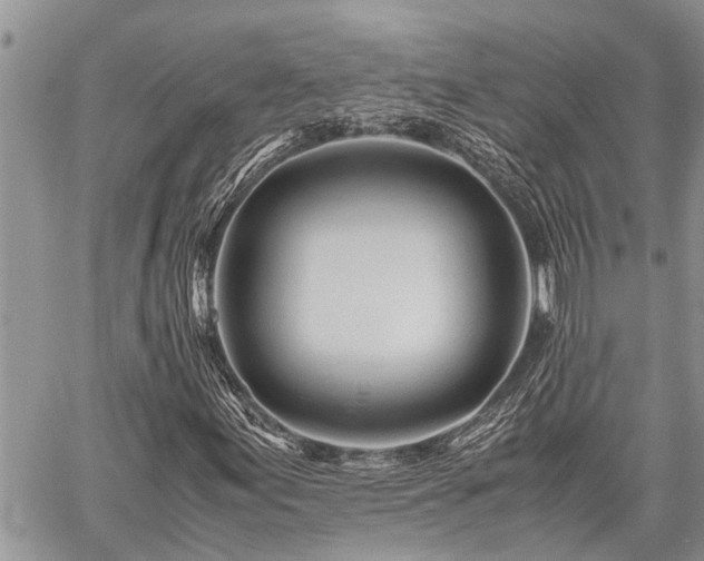 X0000059801155200510211044