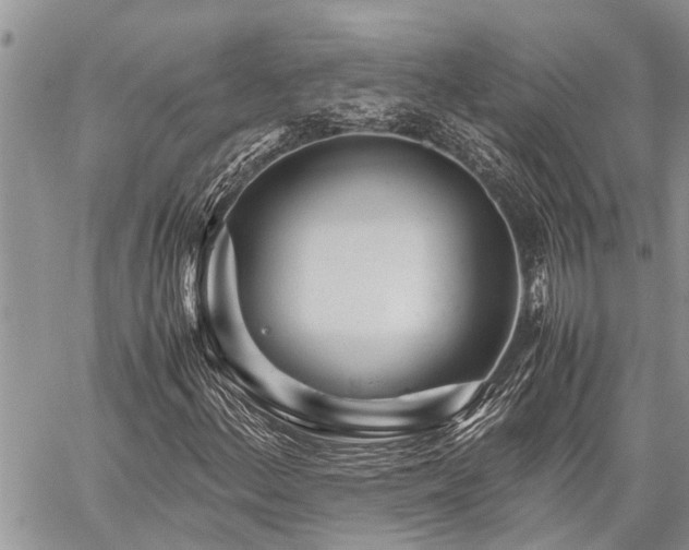 X0000059801156200510211044