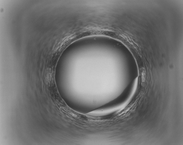 X0000059801157200510211044