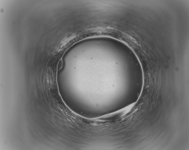 X0000059801158200510211044