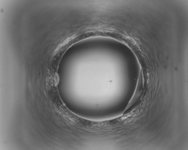 X0000059801159200510211044