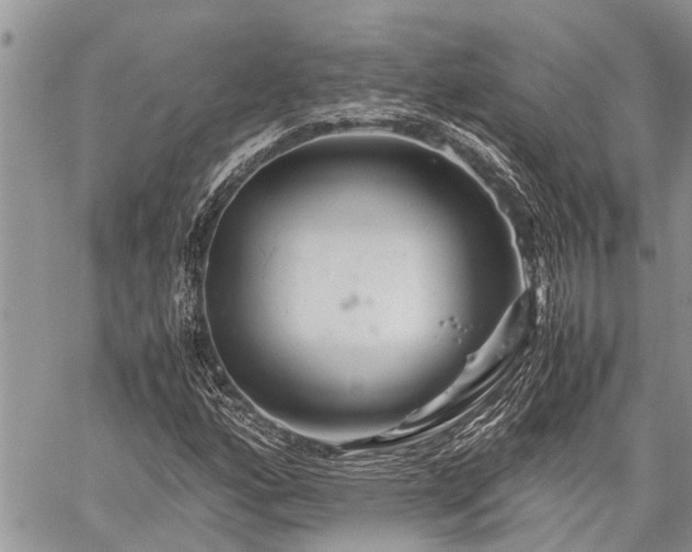 X0000059801160200510211044