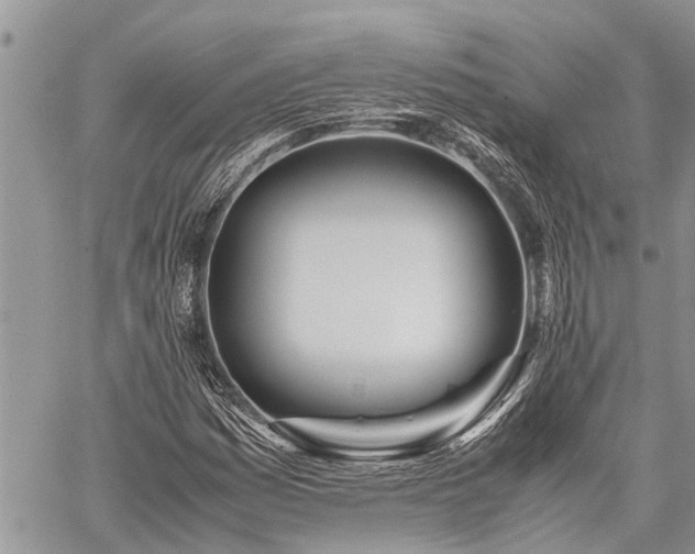 X0000059801161200510211044