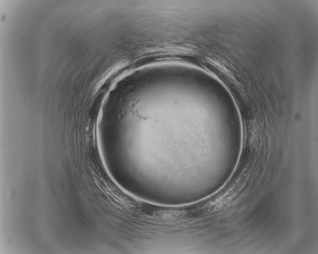 X0000059801163200510211044