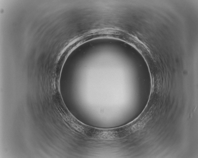 X0000059801166200510211044