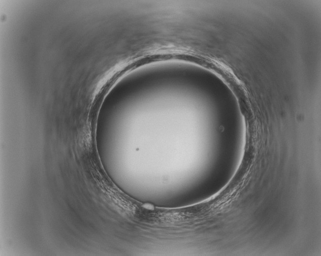 X0000059801167200510211044