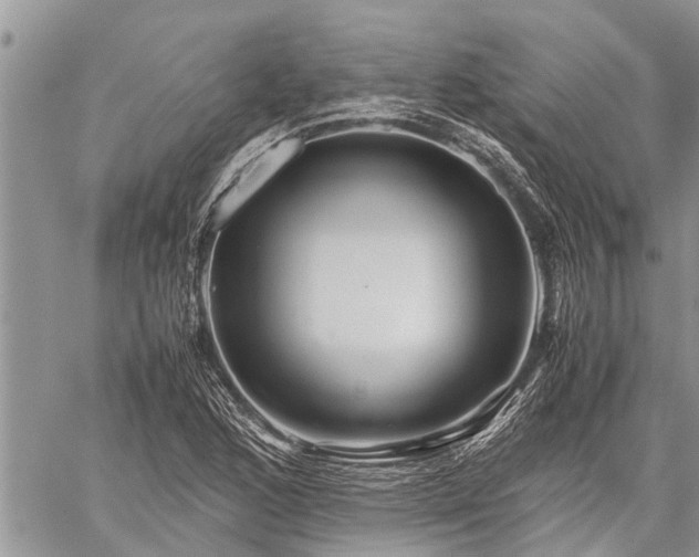 X0000059801168200510211044