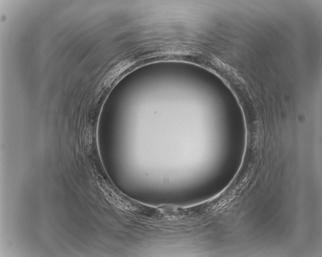 X0000059801169200510211044