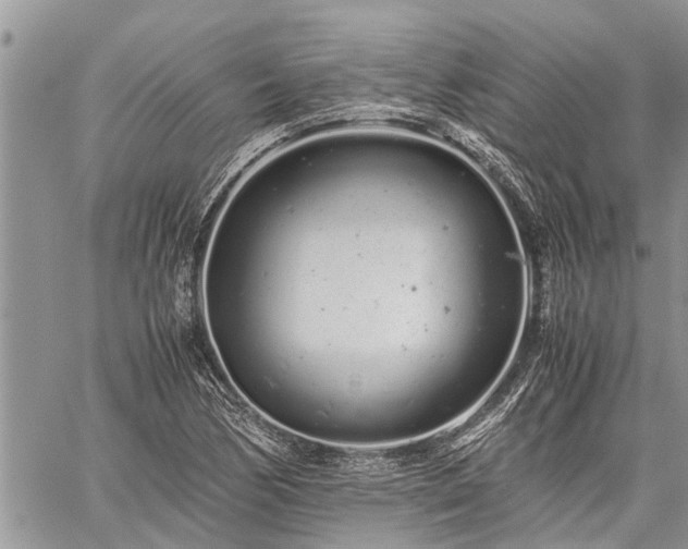 X0000059801170200510211044