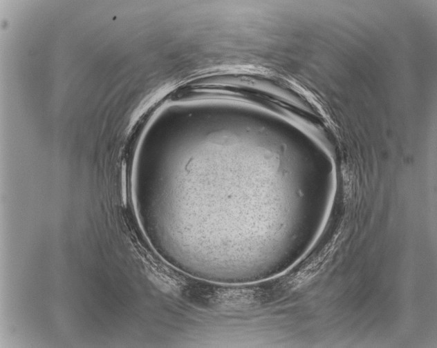 X0000059801171200510211044