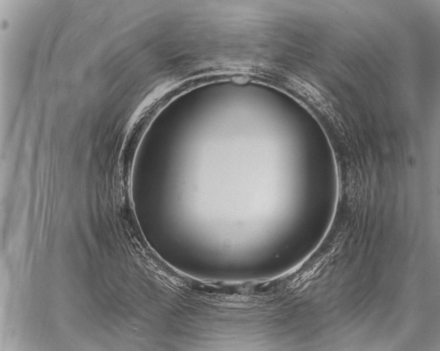 X0000059801172200510211044