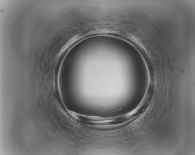 X0000059801173200510211044