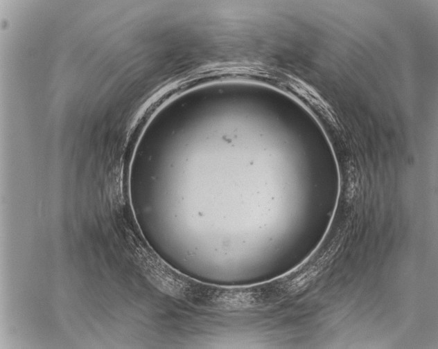 X0000059801174200510211044