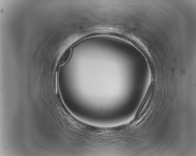 X0000059801175200510211044