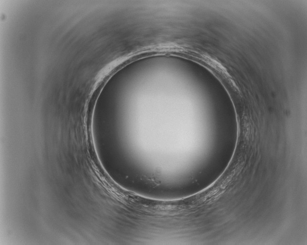 X0000059801176200510211044