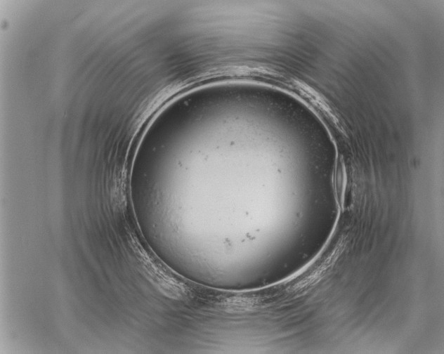 X0000059801178200510211044