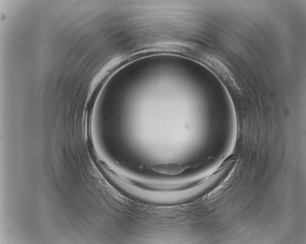 X0000059801180200510211044